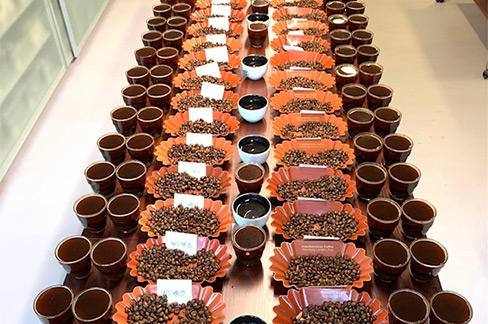 Cupping