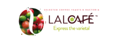 Everything you need to know about LALCAFÉ™ selected coffee yeasts and bacteria