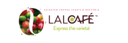 Todo lo que necesita saber sobre las levaduras y bacterias del café seleccionadas por LALCAFÉ™